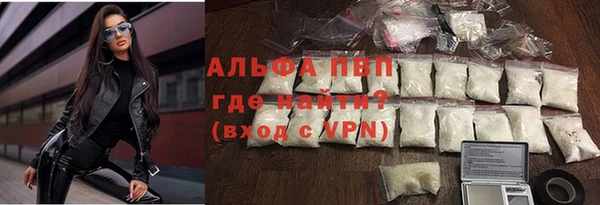 spice Богородск