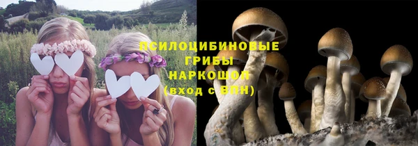 гидра Бородино