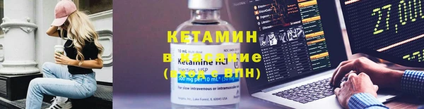 гидра Бородино