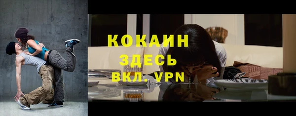 spice Богородск