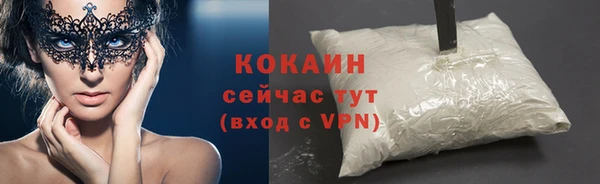 гидра Бородино