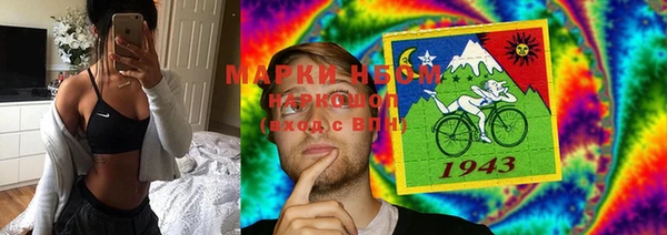 гидра Бородино
