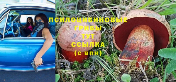 spice Богородск