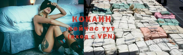 гидра Бородино