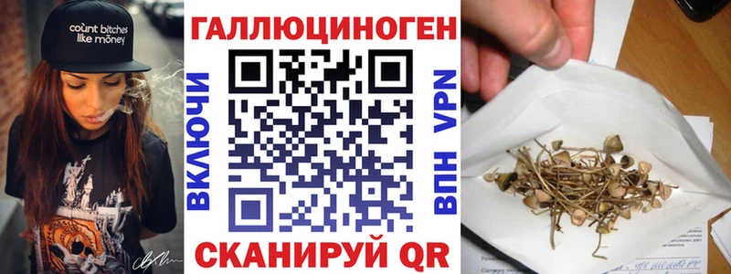 где продают наркотики  omg ссылки  Псилоцибиновые грибы Psilocybe  Ялта 